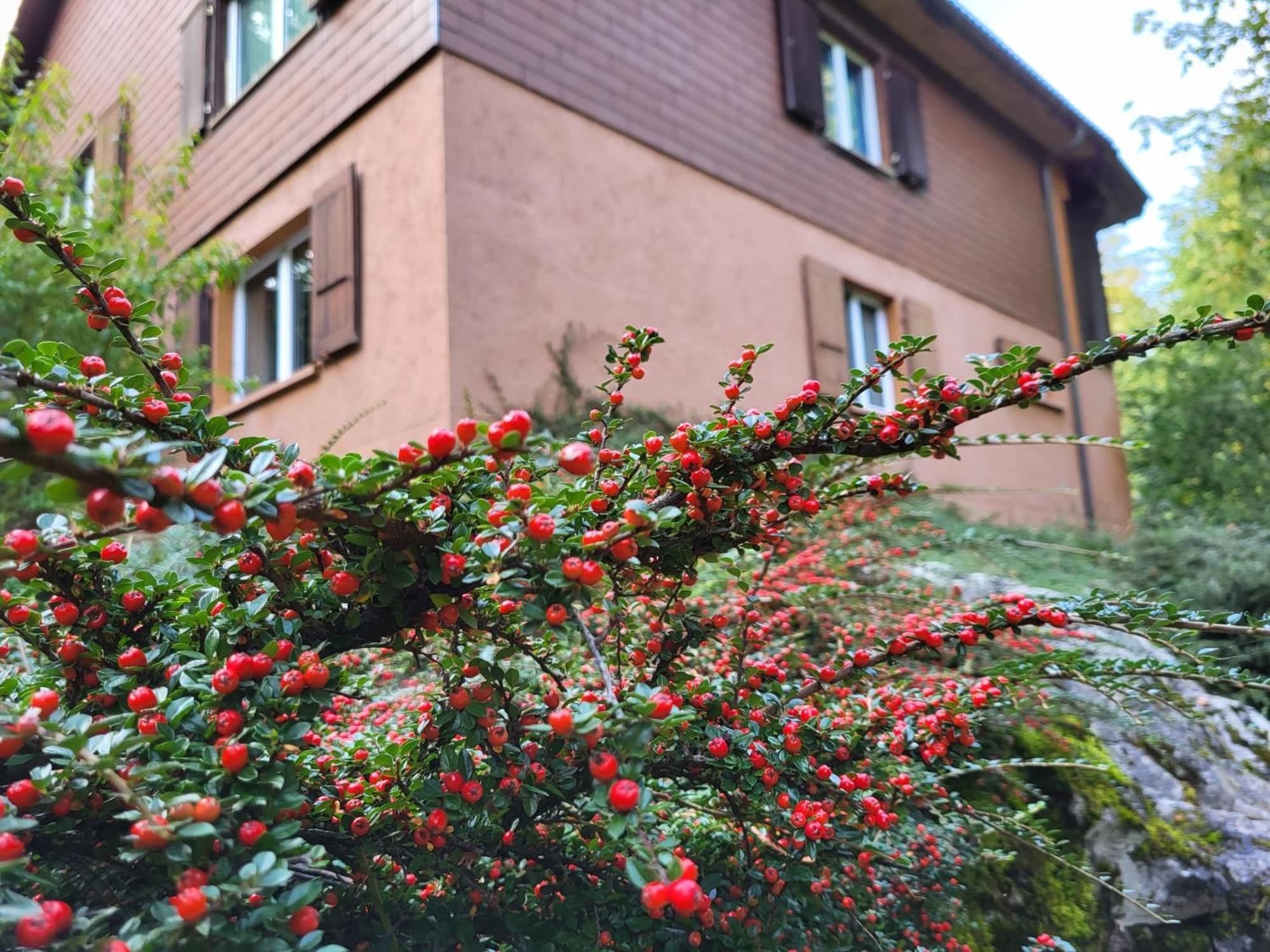 Ferienhaus Baerschwendi Лунґерн Екстер'єр фото