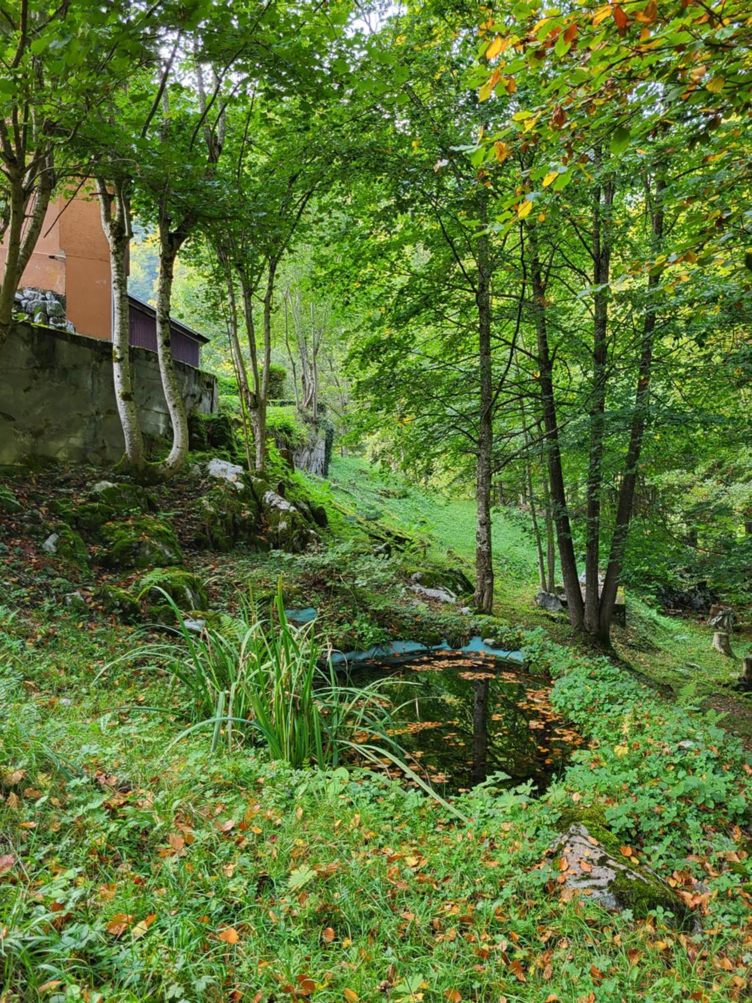 Ferienhaus Baerschwendi Лунґерн Екстер'єр фото