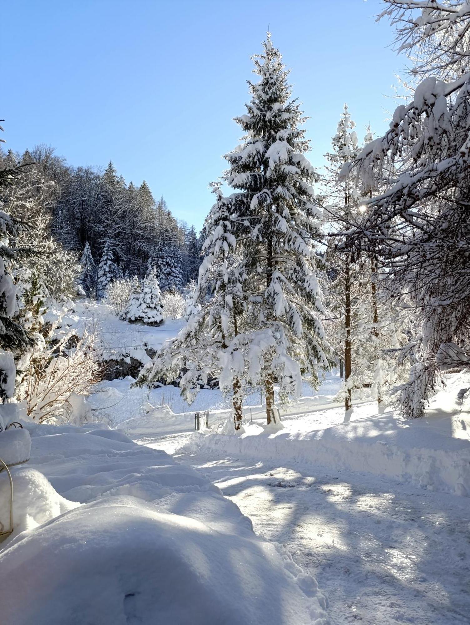 Ferienhaus Baerschwendi Лунґерн Екстер'єр фото